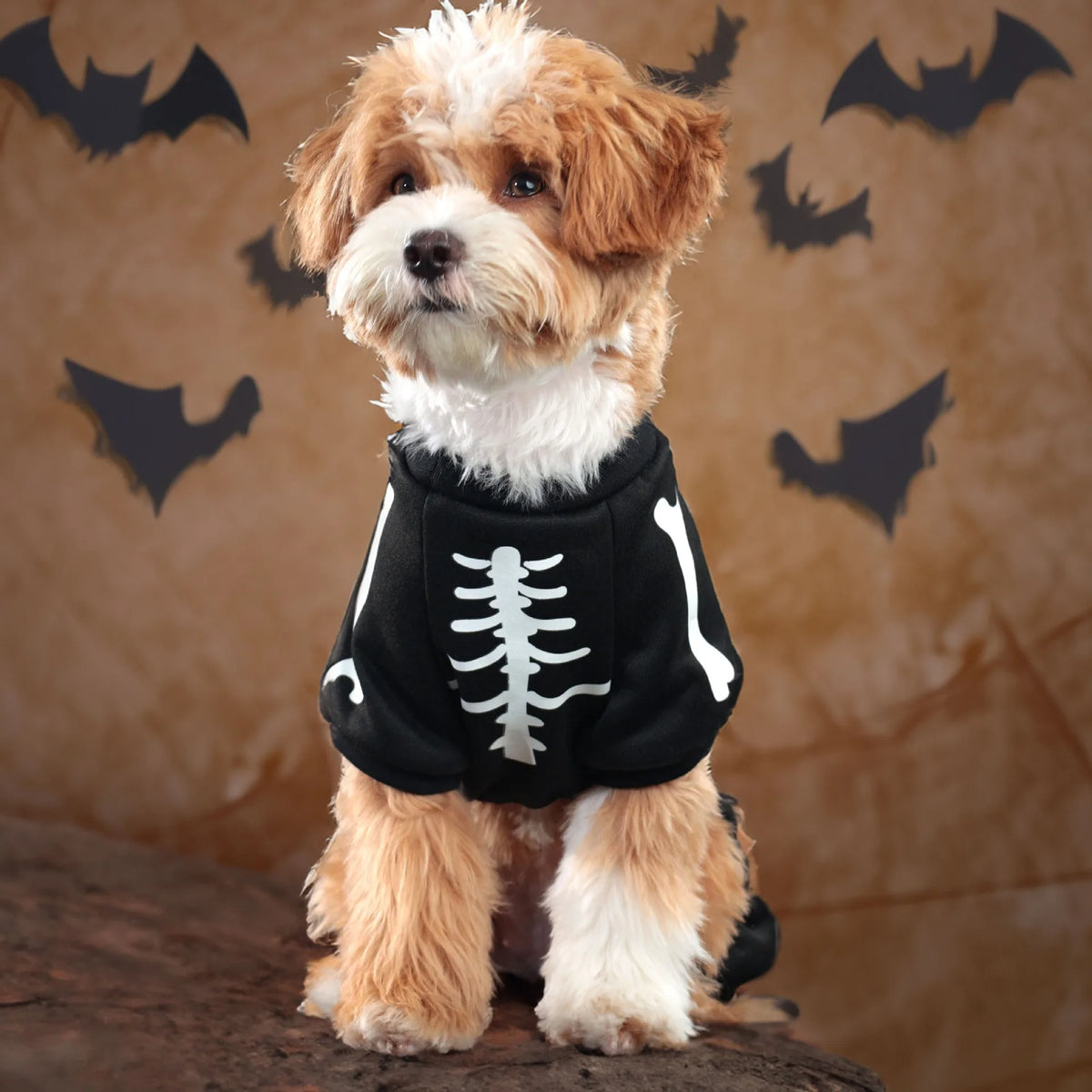 Pet Clothes,Halloween Ones Featuring Glow-in-the-dark Skull Bones with Four Legs,festive Pet Supplies Dog Clothing Sweatshirt