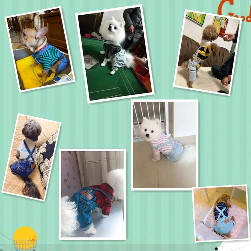 Denim Dog Clothes Jeans Pet Dogs Clothing For Small Medium Dog Costume Chihuahua Clothes For Dogs Coat Jacket Puppy Pet Jumpsuit