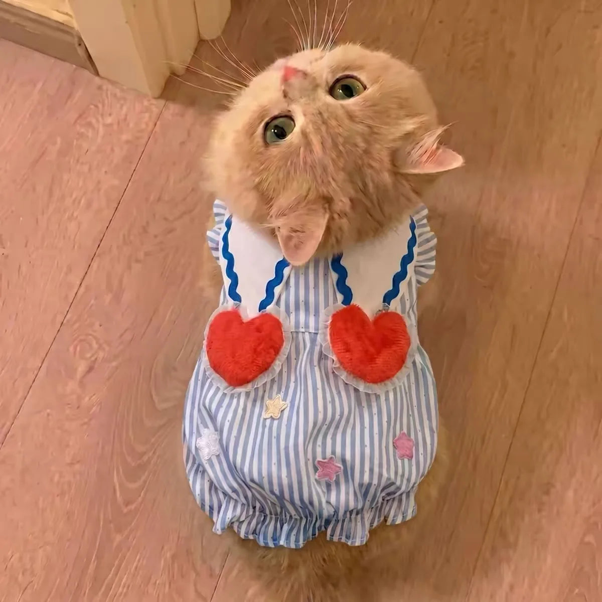 Summer Pet Dog Cat Clothes for small dogs cats bubble Puppy Princess Striped Dress Cats Kitten Rabbit Clothing Pet Supplies