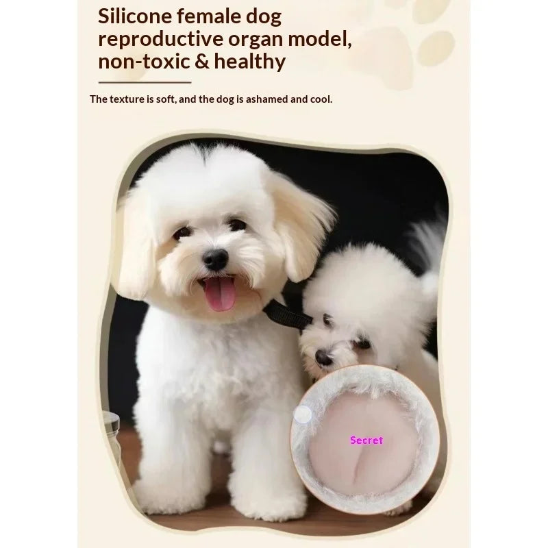Pet Teddy Toys for Dogs Fire Simulation Mating Exercise Relieve Boredom Companion Doll Girlfriend Venting Supplies for Pets