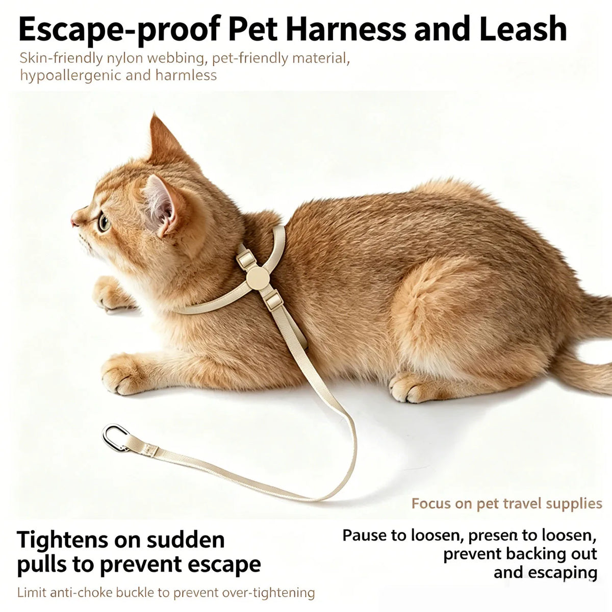 Cat Harness and Leash Sets Adjustable Dog Harness for Small Dog Leash Breashable Pet Harness Out Walking Dog Strap Cat Accessory