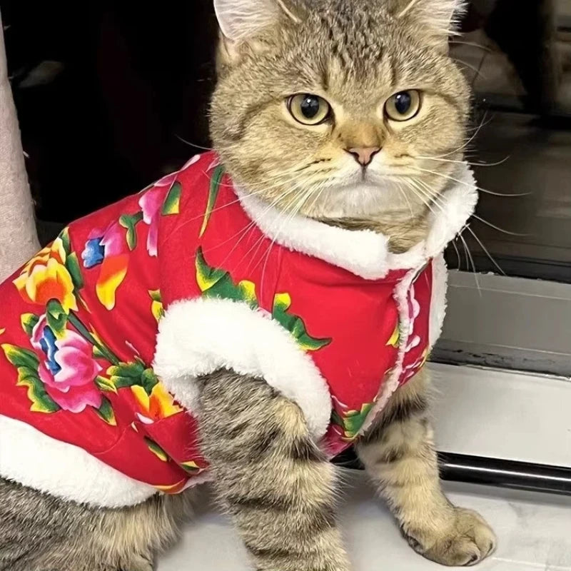 Cat Clothes Fleece Lined Warm Thick Cotton Padded Coat Autumn And Winter Style Ragdoll Blue Cat Kitten Pet Clothing