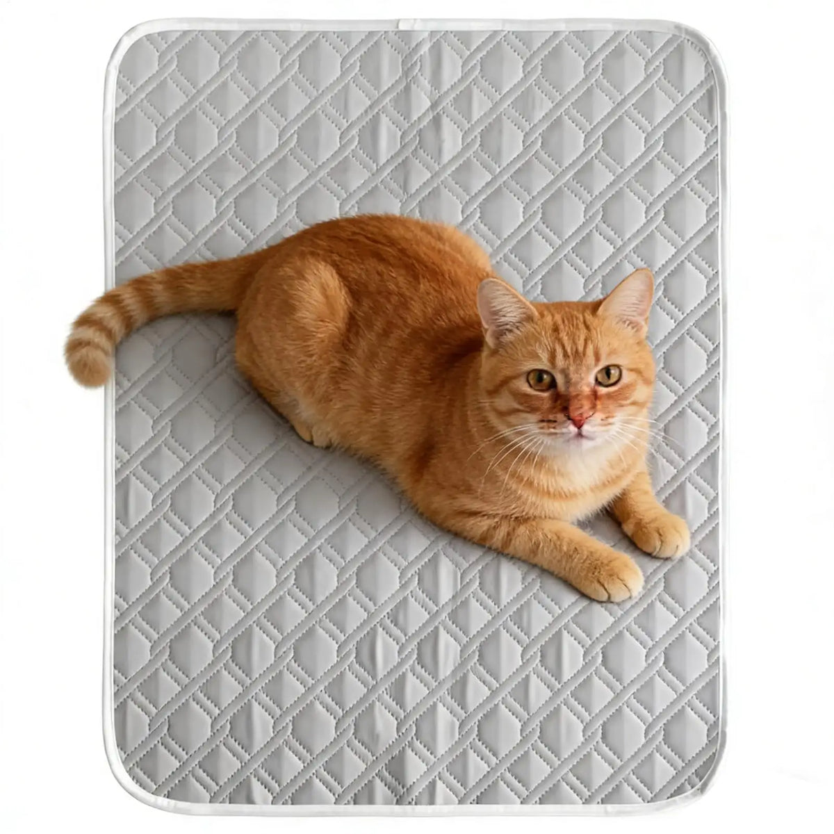 45x35cm Pet Cooling Pad Dog Sweat Sleeping Rug Soft Rest Mat Sleep Bedding Pet Supplies For Small Medium Large Dog Kitten Crate