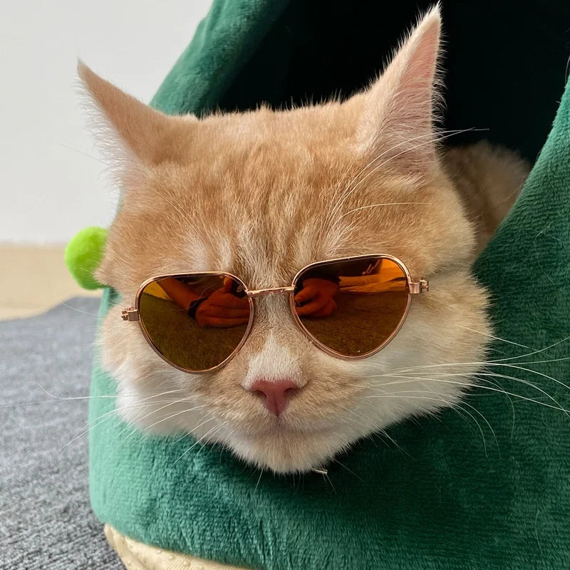 Pet Accessories Cat Glasses Non-slip Kitten Glasses Small Dog Sunglasses Puppy Kitty Cat Sunglasses Cosplay Costume Photos Props