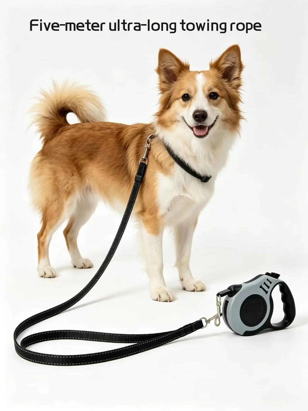 Pet leash - Automatic retractable leash for pet dogs. Cat harness for pet cats. Dog walking rope. Dog chain. Dog rope.