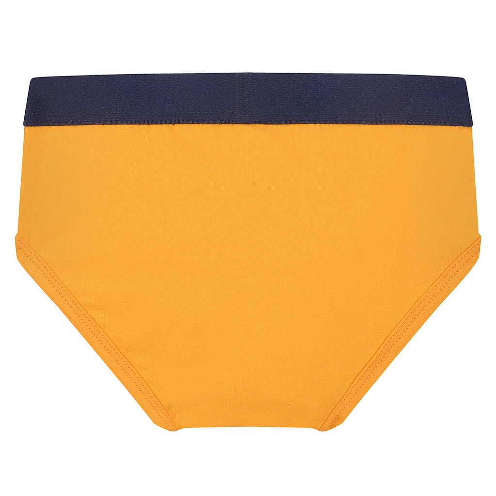 Kids Boy Underwear, Cotton Breathable Briefs, Multi-Color Toddler Underpants for Boys