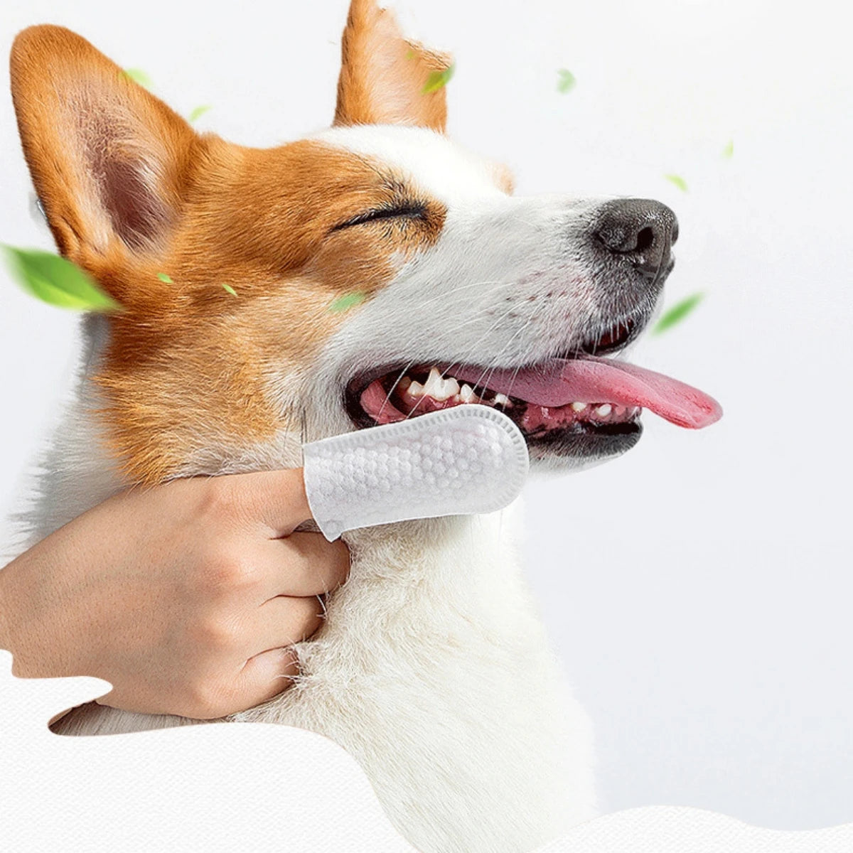 50Pcs/Pack Pet Cleaning Finger Cots Disposable Non-Woven Fabric Wipes Cats Dogs Teeth Ears Eyes Beauty Wipes Pet Supplies White