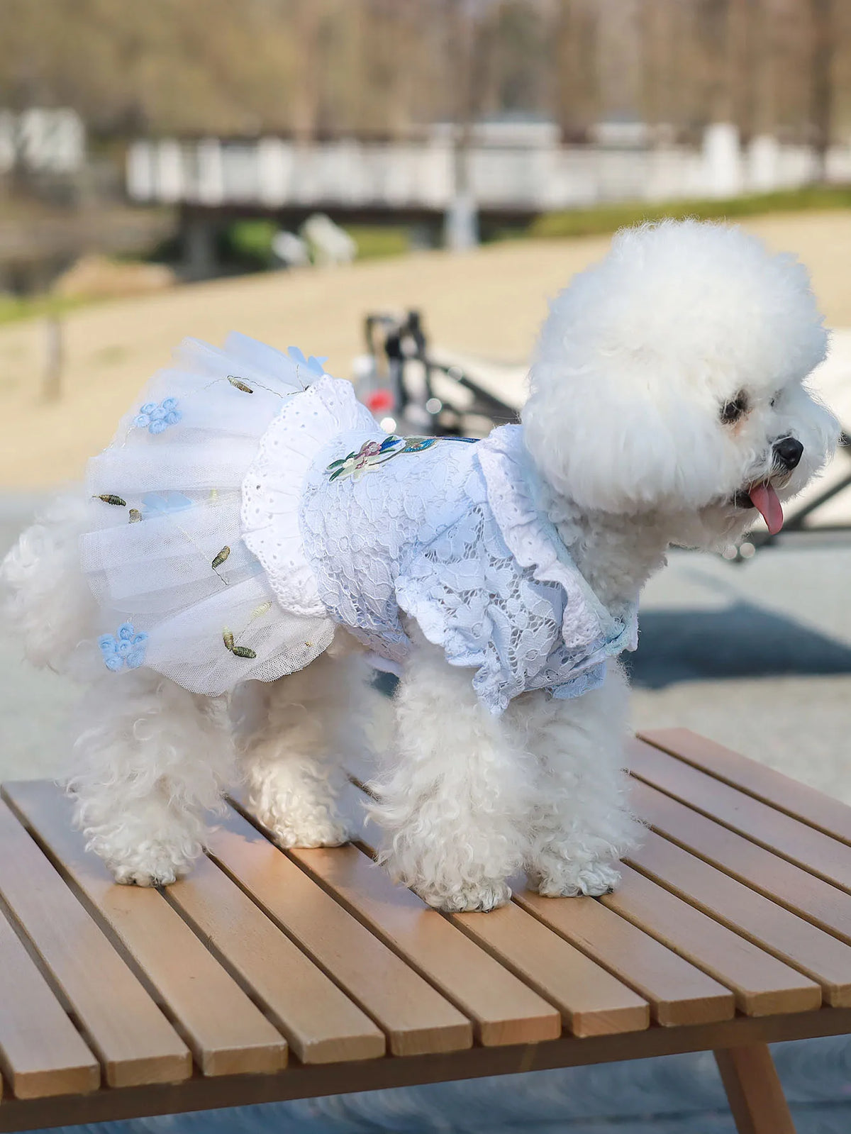 Pet Clothes Princess Skirt Breathable Lace Spring & Summer Cute Puppy Teddy Bichon Dress Small and Medium sized Dog Clothing