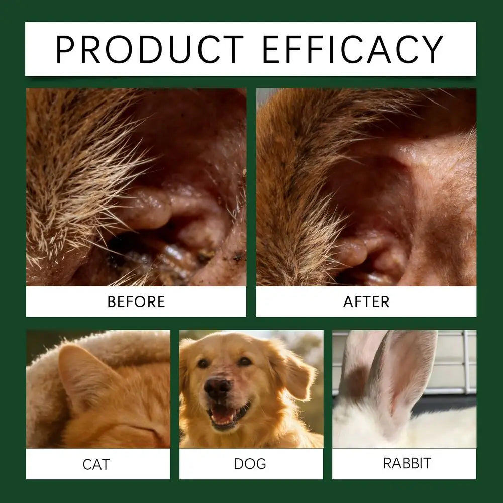Pet Ear Cleaner Solution Deep Cleaning For Dogs Cats Puppies Kittens Removes Ear Wax Relieves Itching And Eliminates Bad Odor