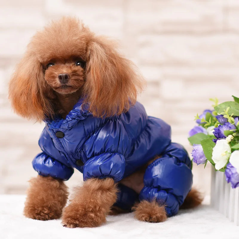 Pet Clothing Puppy Windproof Clothing Winter Dog Clothin Autumn and Winter Comfortable and Warm Home Outdoor Pet Clothing