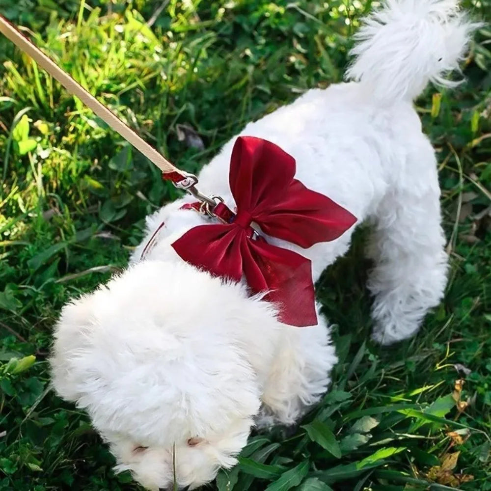 Pet Accessories Adjustable Pet Harness Escape-Proof Breathable Cat Leash Cute Bow Comfort Dog Chest Strap for Dogs Puppy Rabbit