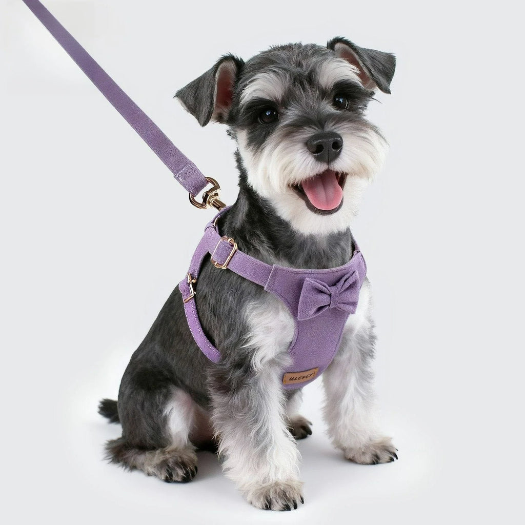 Pet Collars Trendy Premium Suede Dog Harness Leash Set-Adjustable Pet Chest Strap Soft Durable Puppy Kitten Fashion Accessories