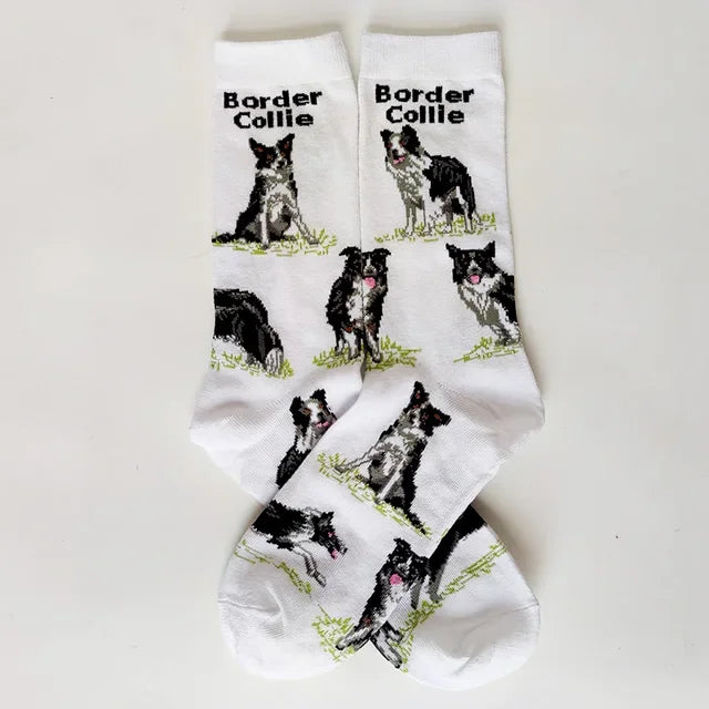 NEW Crew Fashion Funny Women Socks Border Collie Schnauzer Lab Scottie Beagle Boxer Pug Bulldog Sheltie Golden Doodle Retriever