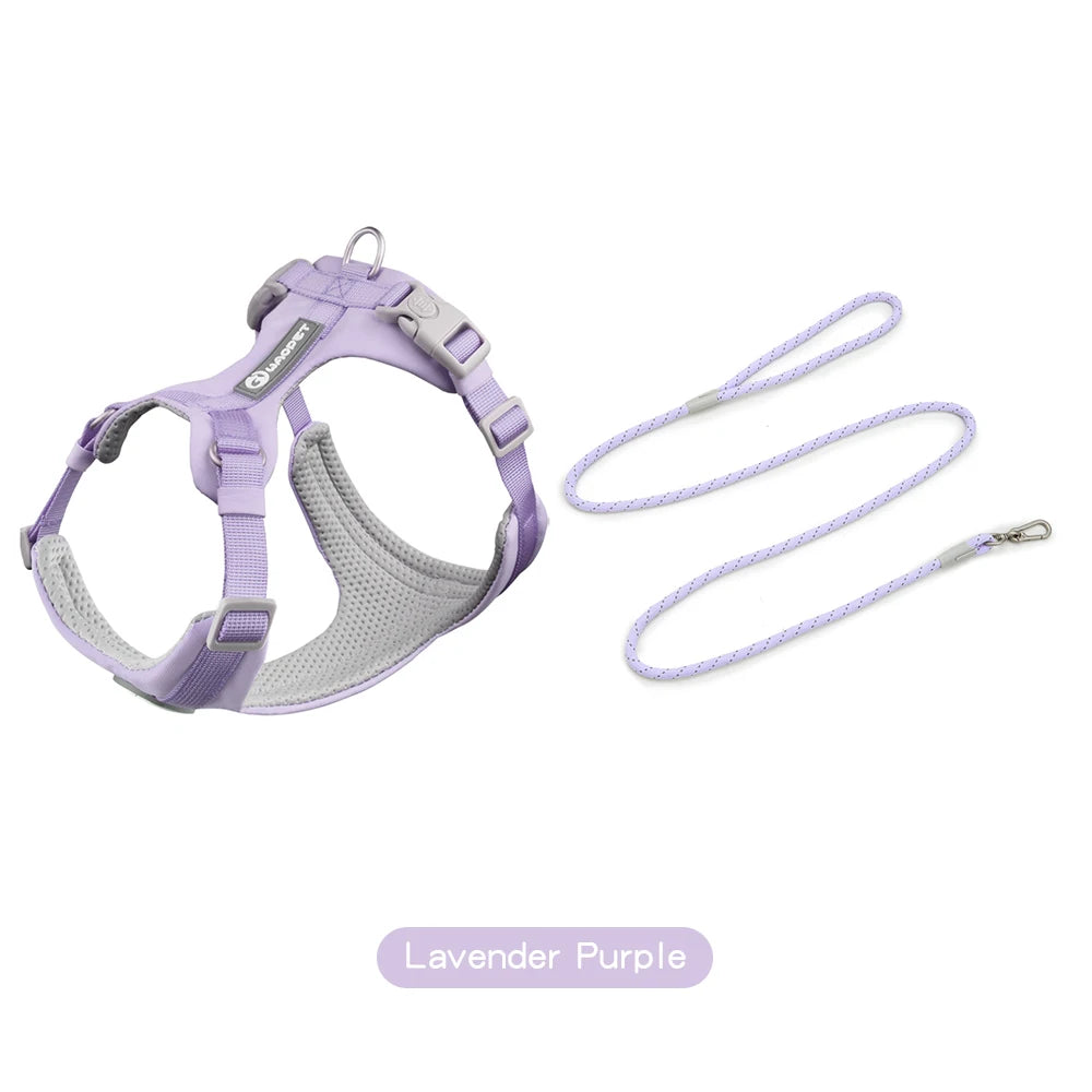 Walking Dog Harnesses Set With Leashes Pet Dog Cat Gifts Vest For Small Medium Large Dogs Rope Set Outdoor Training Pet Supplies