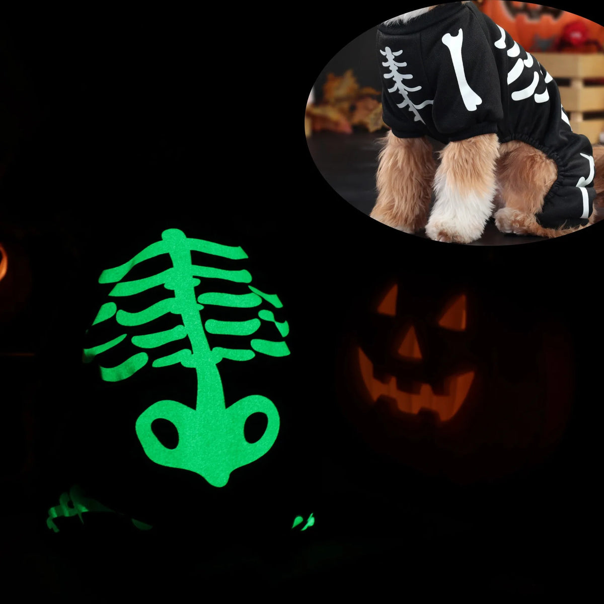 Pet Clothes,Halloween Ones Featuring Glow-in-the-dark Skull Bones with Four Legs,festive Pet Supplies Dog Clothing Sweatshirt