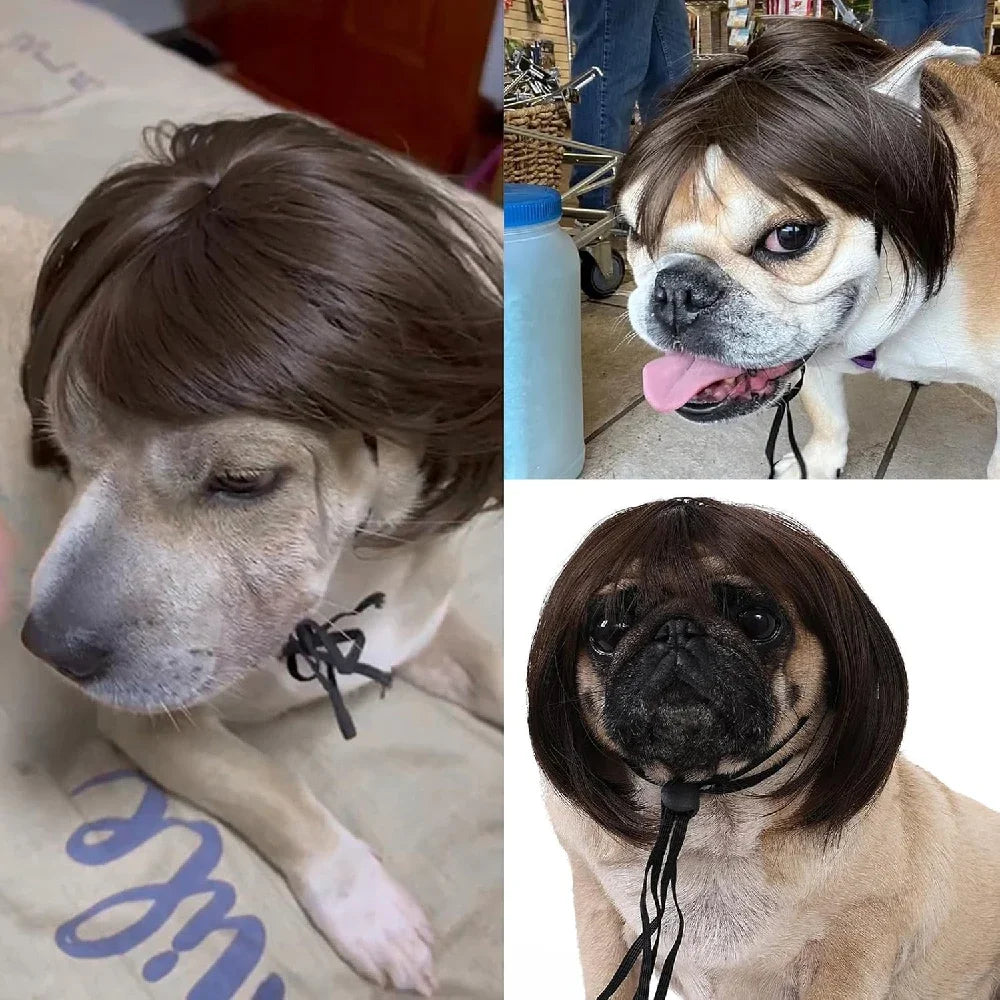 Cat Wig Accessories Dog Headdress Funny Costume Puppy Cosplay Dress Up Cute Pet Wig Cosplay Funny Props Head Accessories