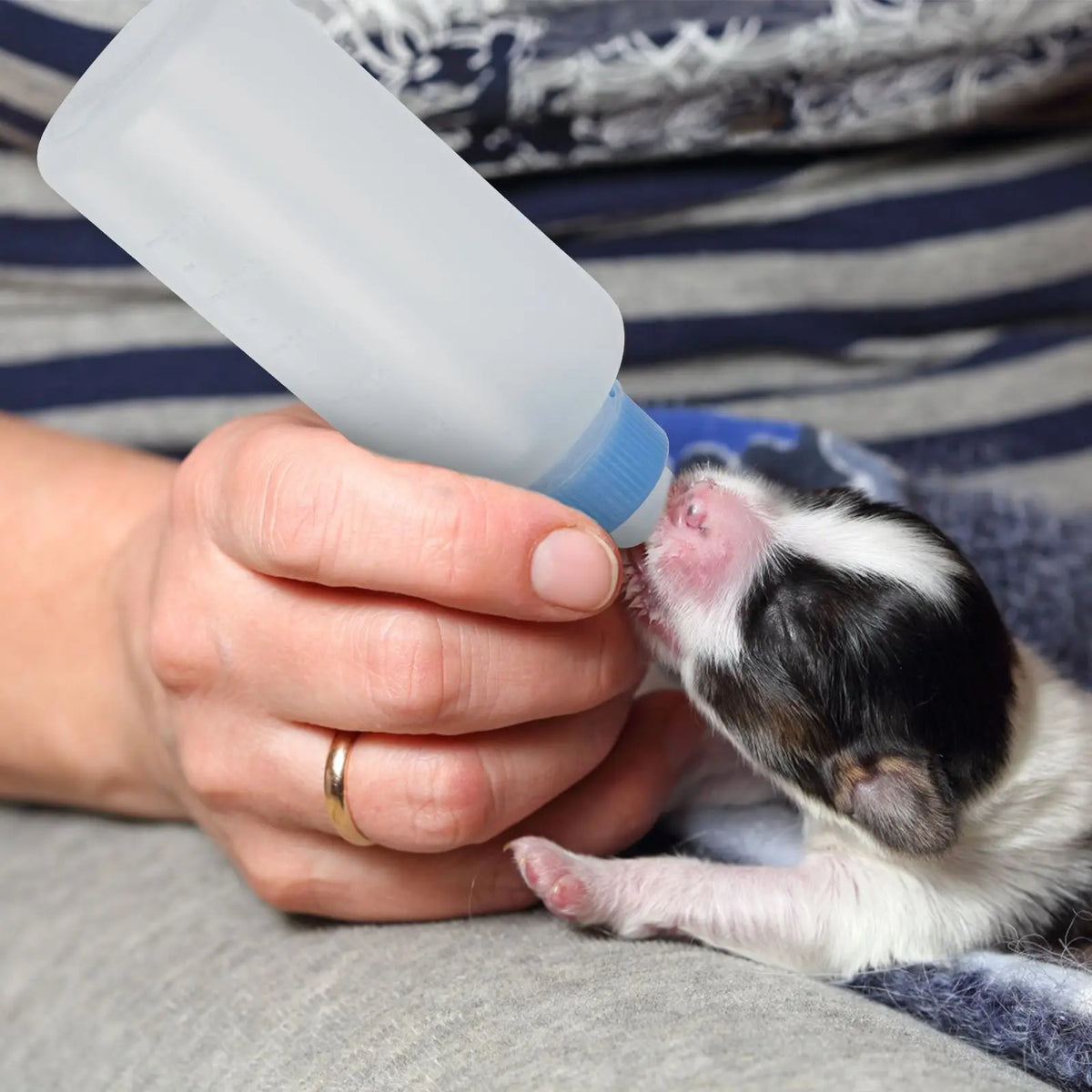 3pcs 50ml Pet Feeding Bottle Milk Nursing Bottle Pet Puppy Kitten Feeding Household Newborn Dog Cat Milk Feeder Drinking Bottle