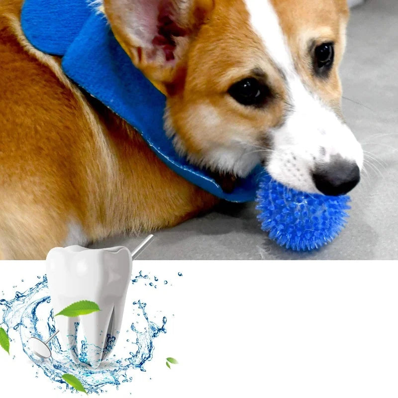Pet Dog Toys Cat Puppy Sounding Toy Polka Squeaky Tooth Cleaning Ball TPR Training Pet Teeth Chewing Toy Balls Accessories