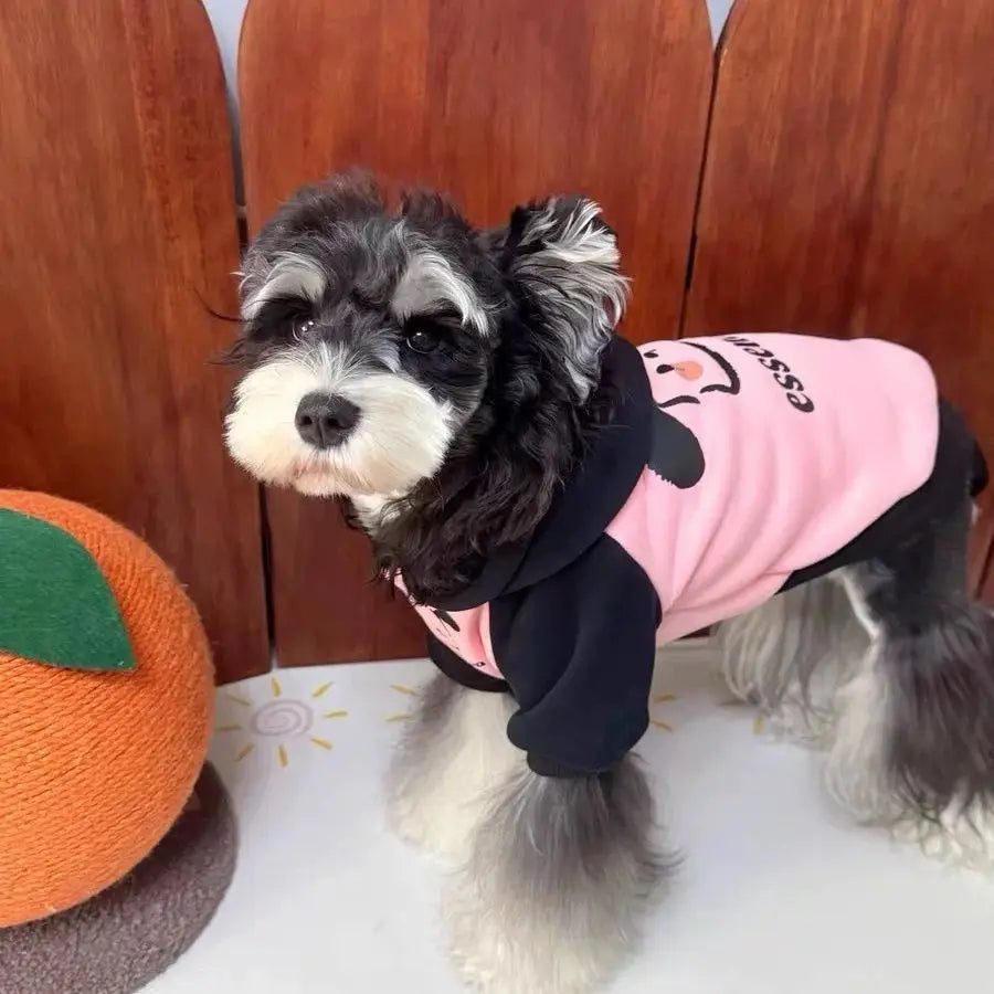 Pet cat and dog clothes trendy brand cool handsome autumn and winter velvet warm powder fight black puppy pair hooded