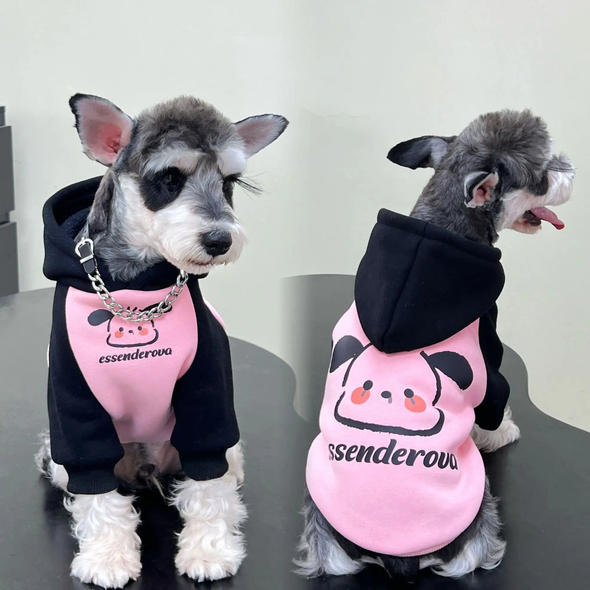 Pet cat and dog clothes trendy brand cool handsome autumn and winter velvet warm powder fight black puppy pair hooded