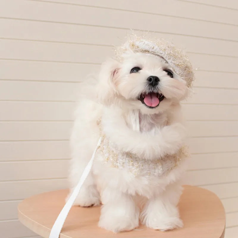 Ins Pet Plaid Woolen Dogs Coat Cloak Pet Supplies  Princess Dog Clothes  Dog Harnesses With Rope For Small Dog