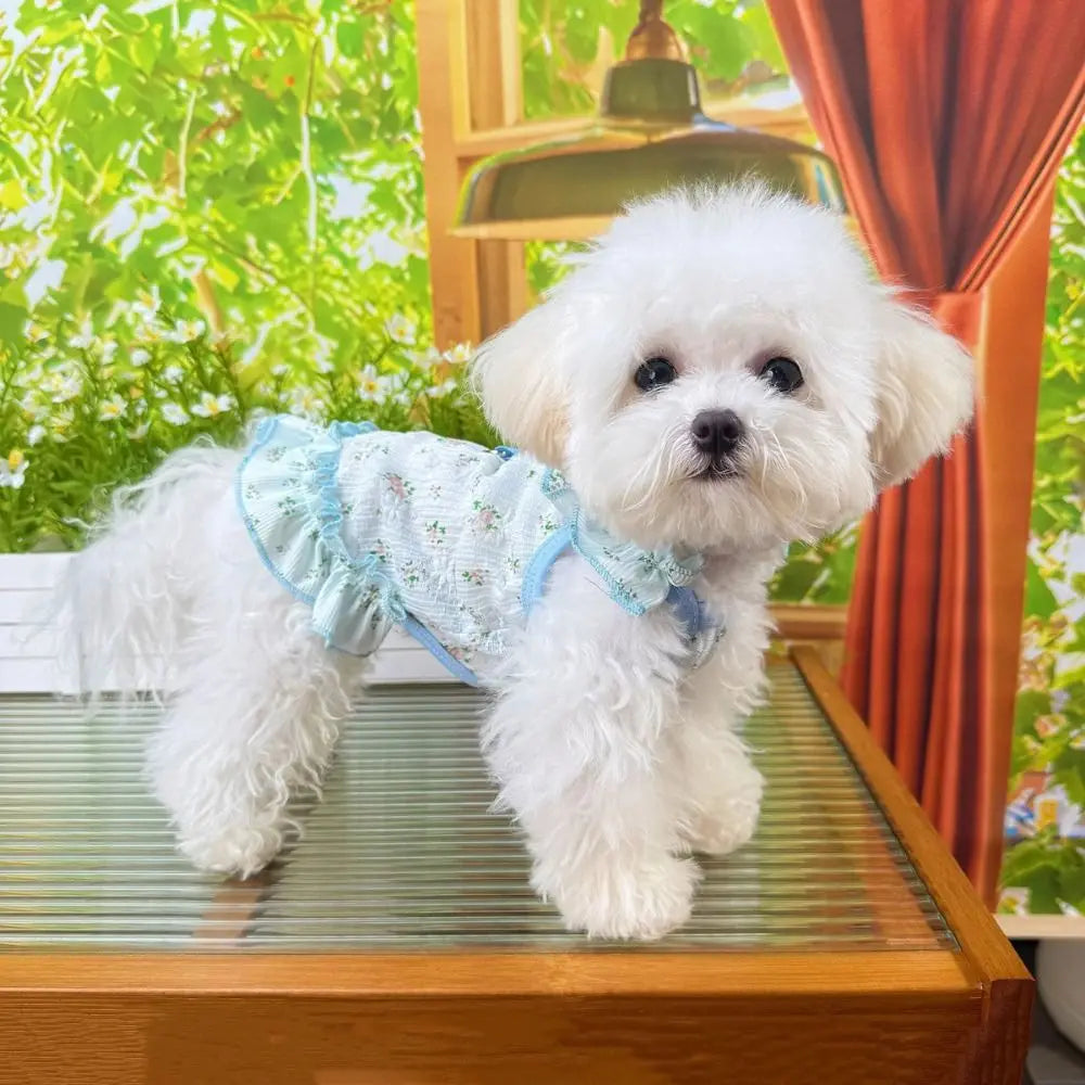 Pet Clothes Thin Dog Cool Dress Cute Soft Dog Cooler Clothes Breathable Skin-friendly Puppy Skirt Spring/Summer