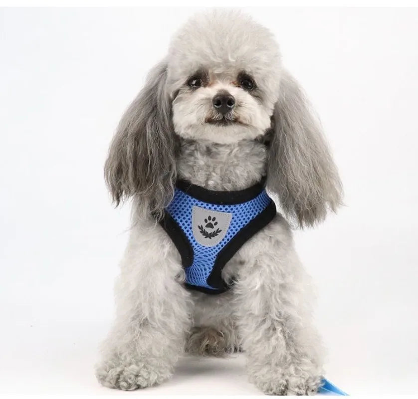 Cat Harness Vest Walking Lead Leash for Puppy Dogs Collar Polyester Adjustable Mesh Dog Harness for Small Medium Pet Accessories
