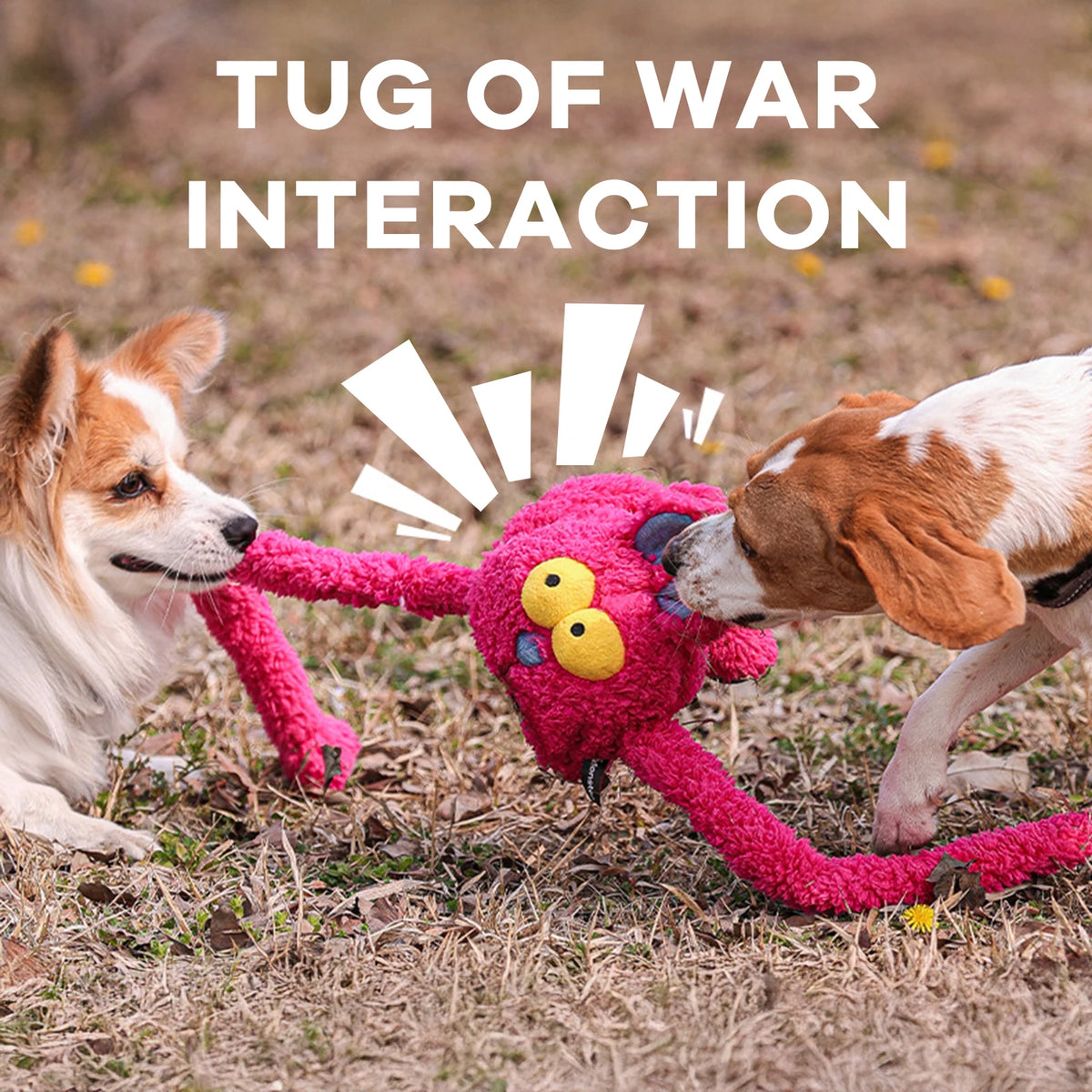 Pet Dog Chew Toys Squeaky Plush Sounding Toy Dogs Funny Sounding Interactive Pull Plush Dogs Toys For Training And Entertaining