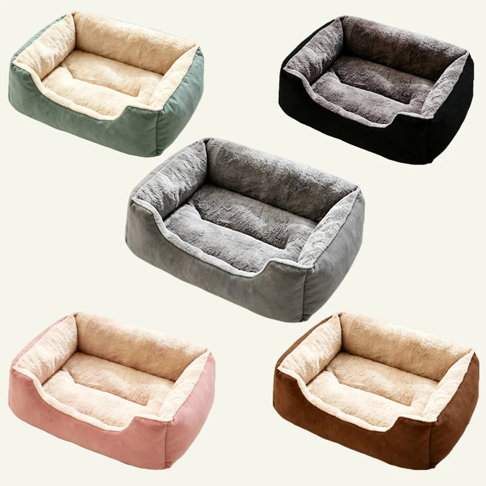 Bed for Cats Pet Products Cushions Kitten Winter Accessories Dog All Houses Supplies Things Accessory Habitats Basket House Beds