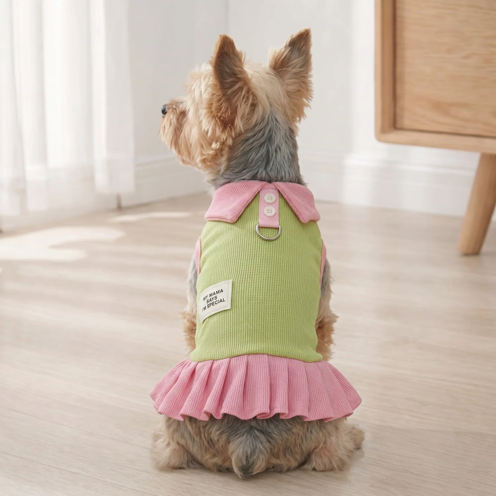 Comfortable Dog Vest Cute Cartoon Pet Clothes Breathable Maltese Dress Summer Teddy Couple Clothing  Princess Style Puppy Skirt