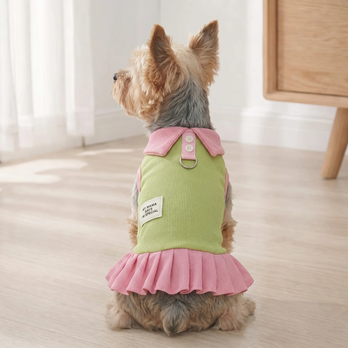 Comfortable Dog Vest Cute Cartoon Pet Clothes Breathable Maltese Dress Summer Teddy Couple Clothing  Princess Style Puppy Skirt