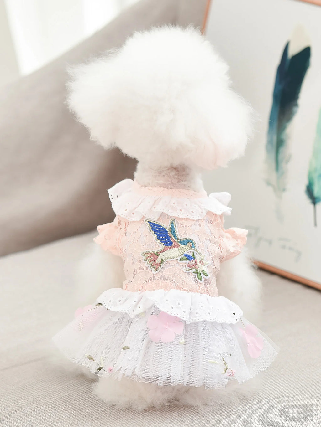 Pet Clothes Princess Skirt Breathable Lace Spring & Summer Cute Puppy Teddy Bichon Dress Small and Medium sized Dog Clothing