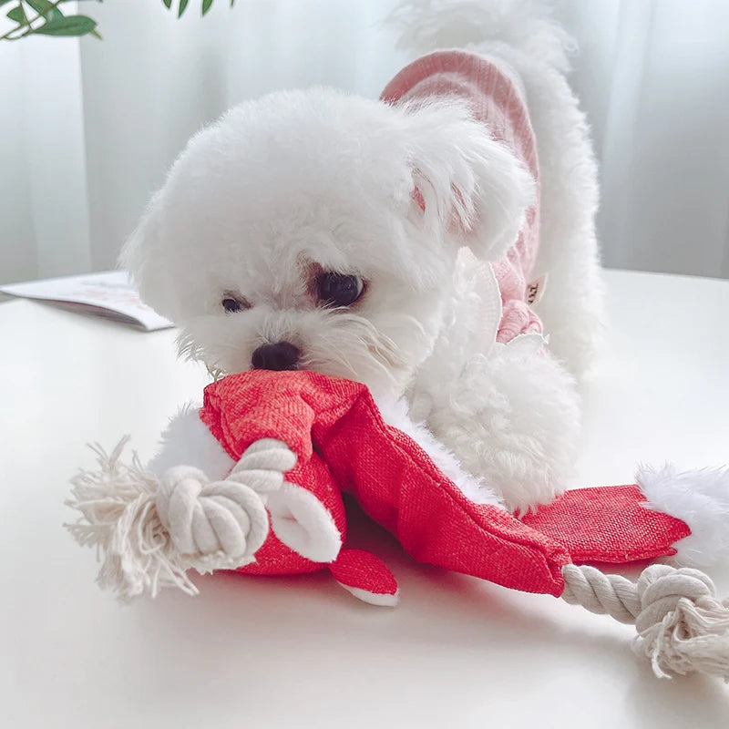 No Stuffed Squeaky Pet Toys for Small Medium Dogs Animals Shape with Knot Puppy Dog Chew Toy Chihuahua Pug Juguetes Para Perro